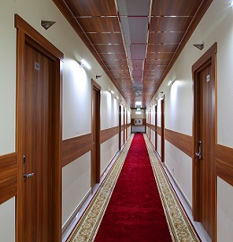 Doors for Hotels